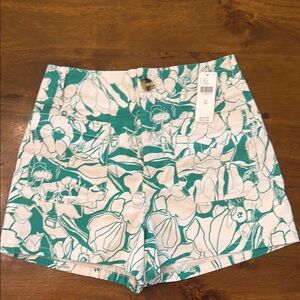 Anthropologie Colette Shorts by Mauve in Magic Fabric - Size 26, NWT